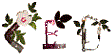 logo_ced.gif